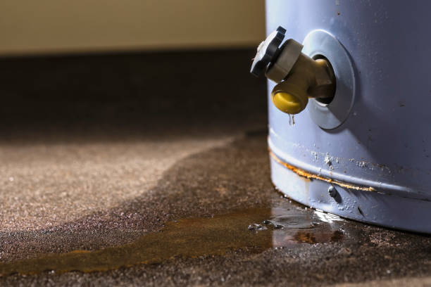 Best Commercial water damage restoration  in Oral City, FL