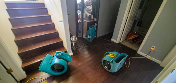 Best Emergency water damage restoration  in Oral City, FL