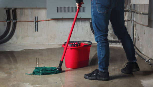 Best Water damage restoration near me  in Oral City, FL