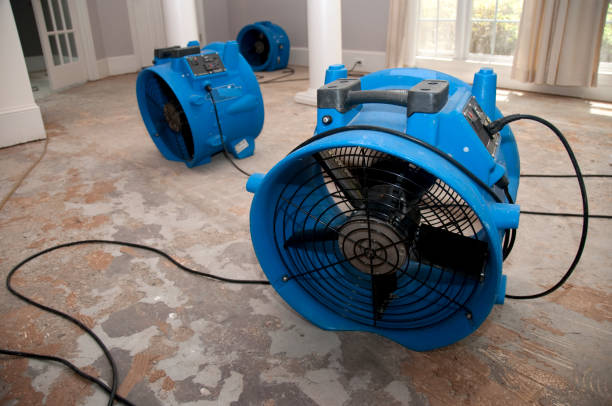 Best Carpet water damage restoration  in Oral City, FL