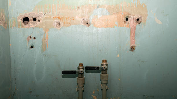  Oral City, FL Water damage restoration Pros