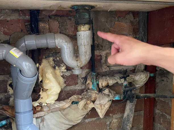Trusted Floral City, FL Water damage restoration Experts