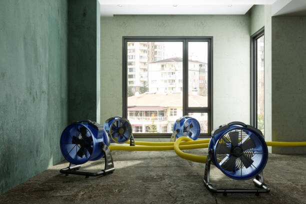 Best Basement water damage restoration  in Oral City, FL