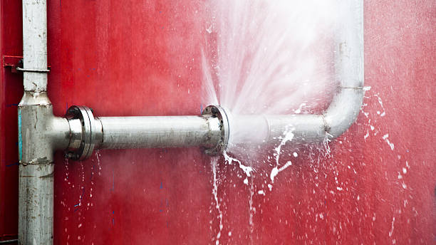 Best Water damage restoration services  in Oral City, FL